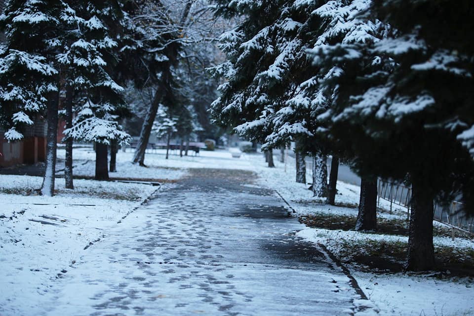 С первым снегом, Запорожье / фото: Максим Горский