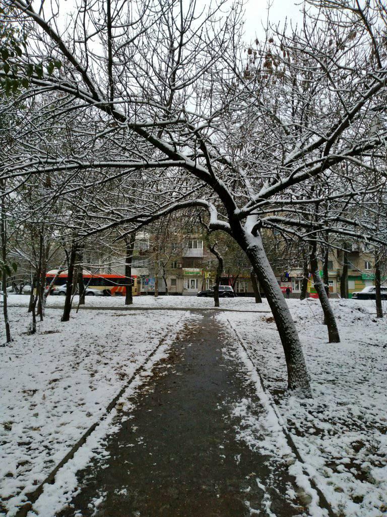 Снежное утро / фото: Жанна Лысенко