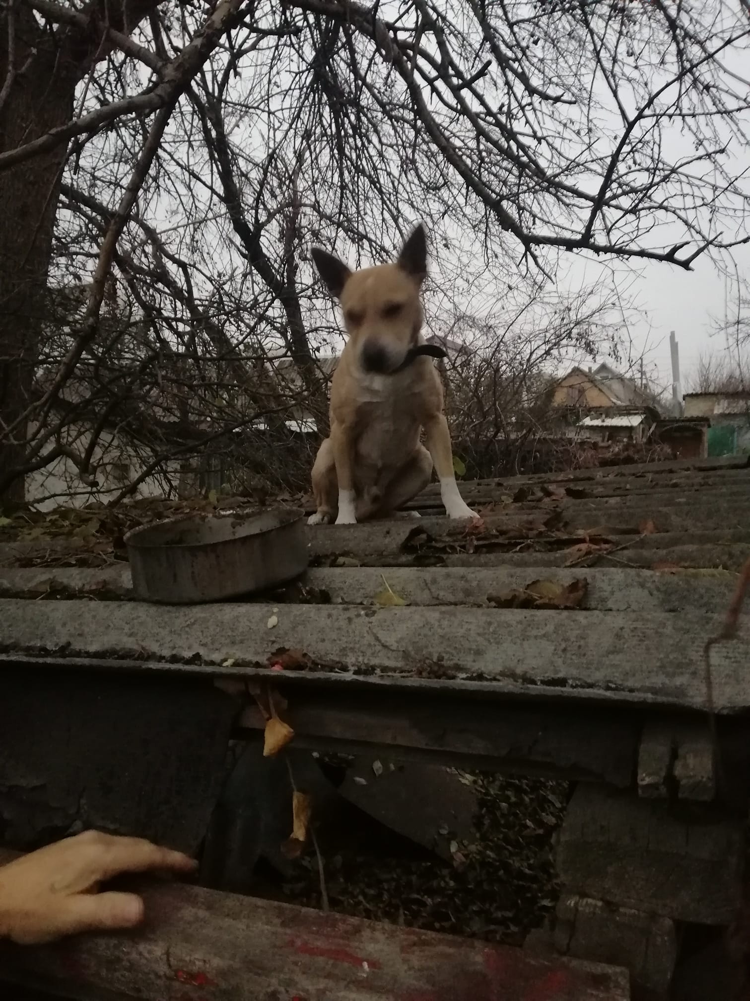 Малышу очень страшно / фото: fb Галина Грищенко