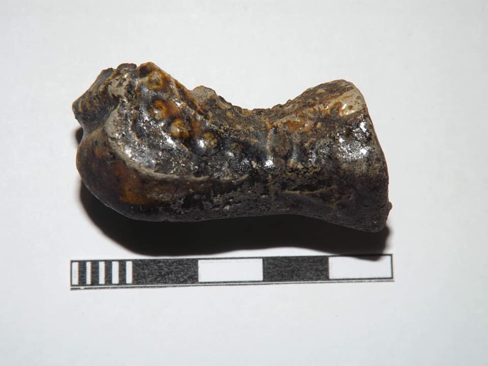 На Хортице нашли новый экспонат / фото: fb Хортиця Національний заповідник - National Reserve Khortytsya