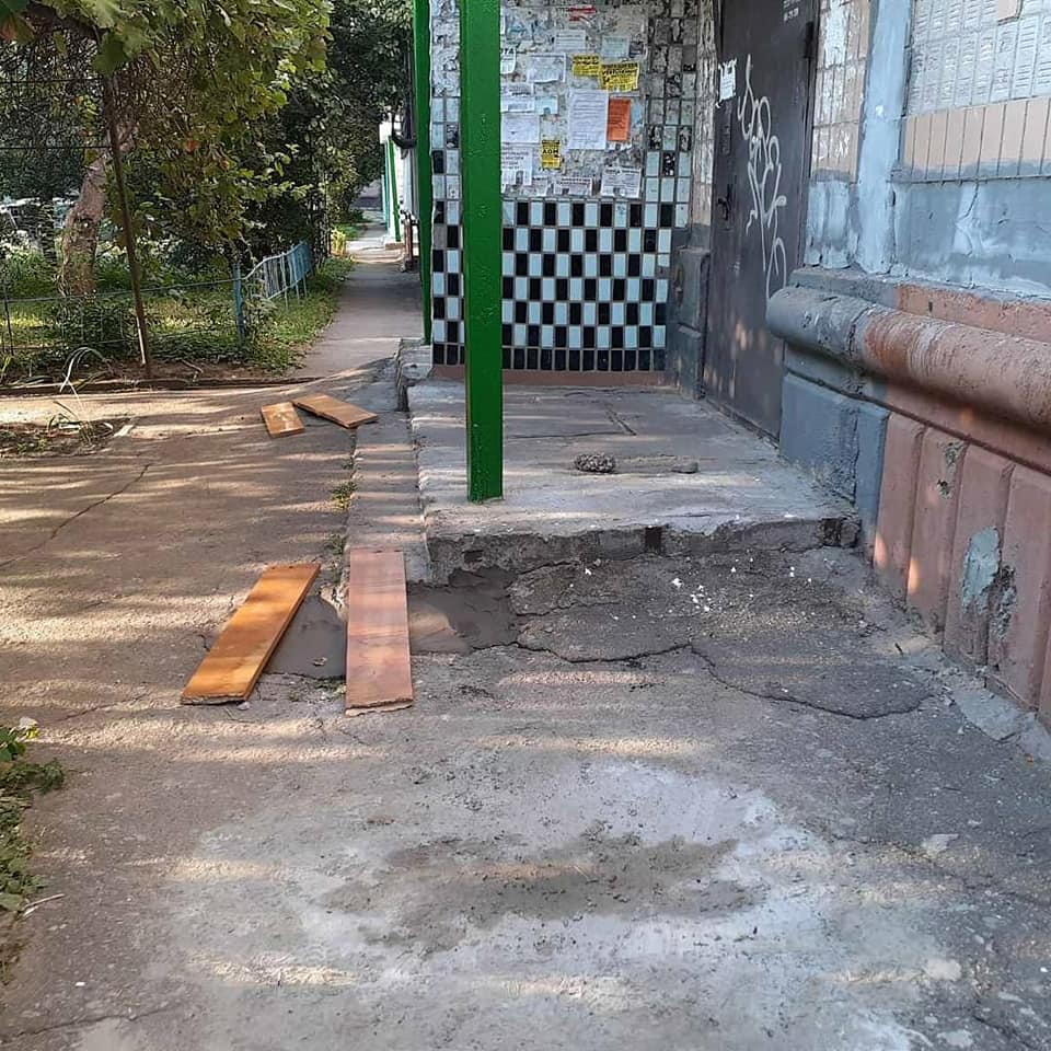 В Запорожье ежиков замуровали под крыльцом - фото: fb Юлия Денисюк