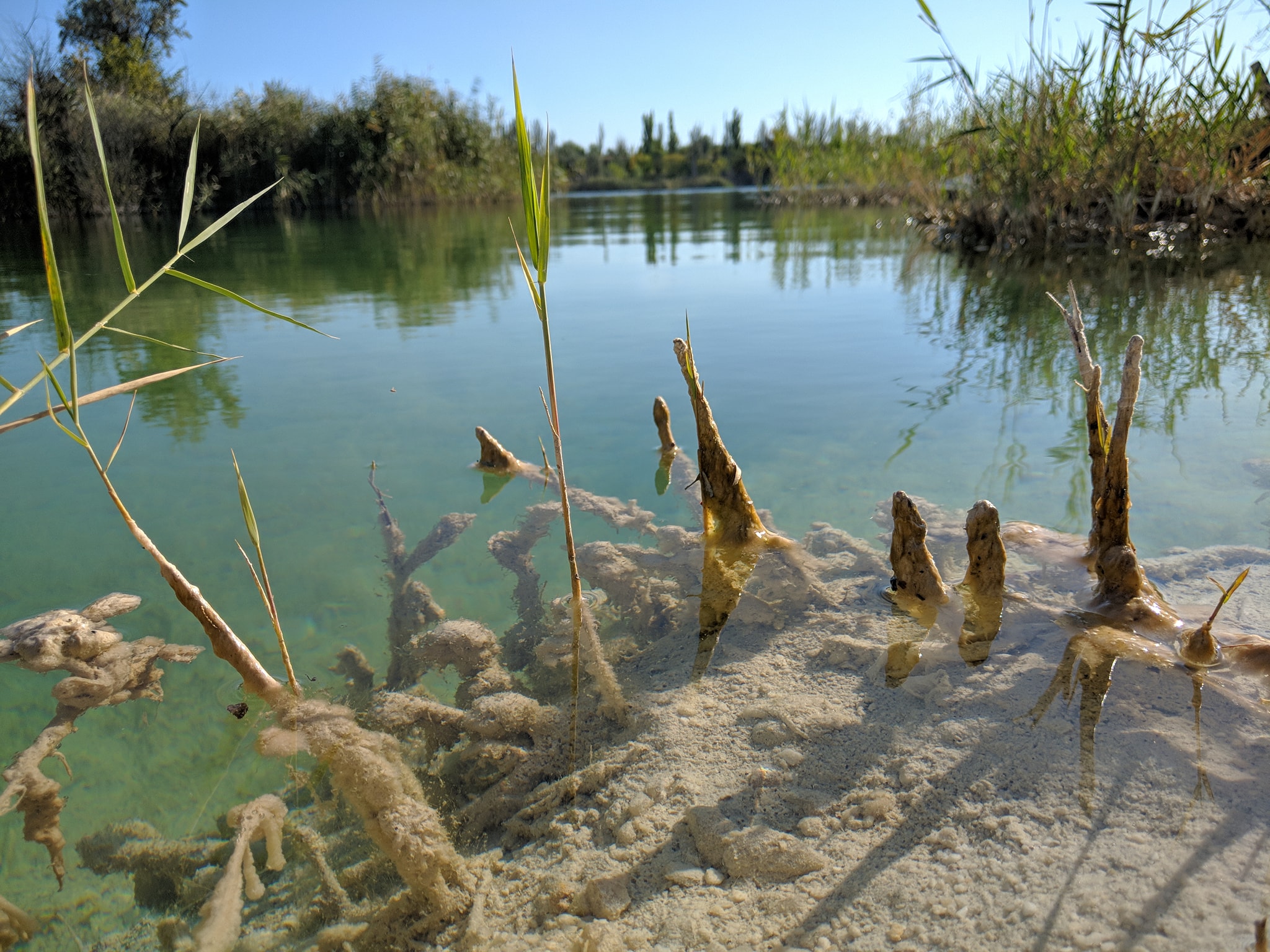 Белый песок - фото: fb Сергей Богачев