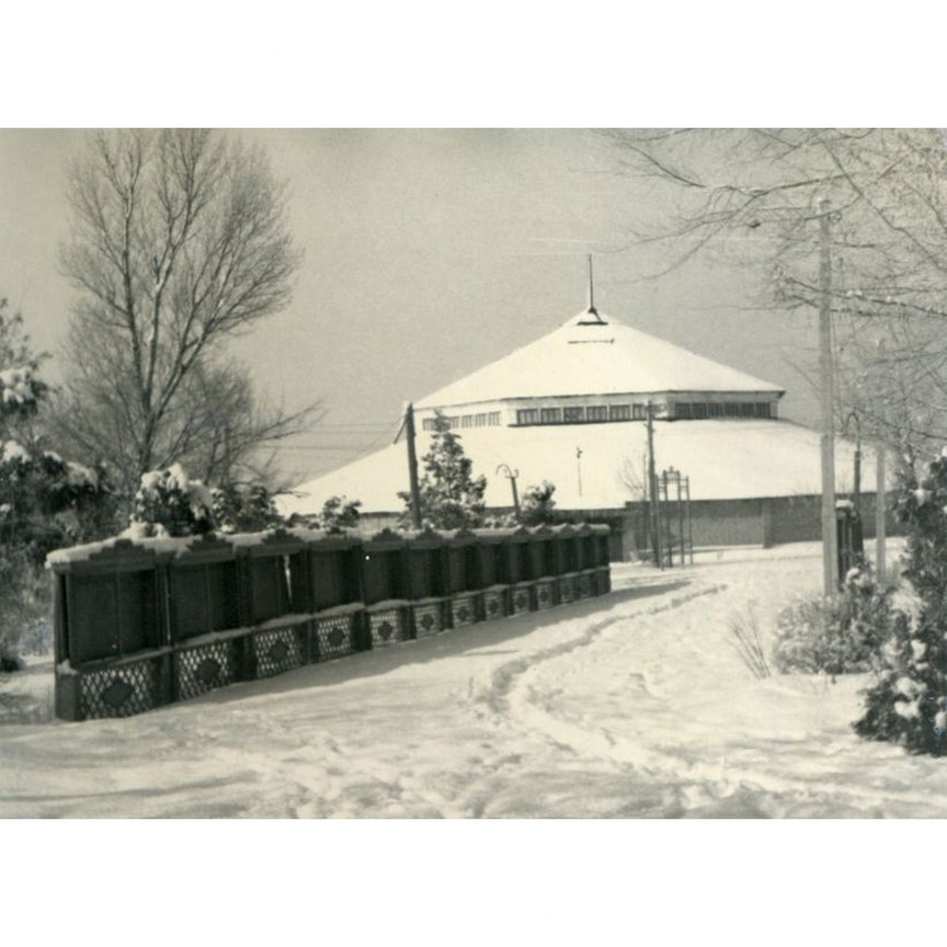 Запорожский цирк зимой / фото: zaporizhzhia.city