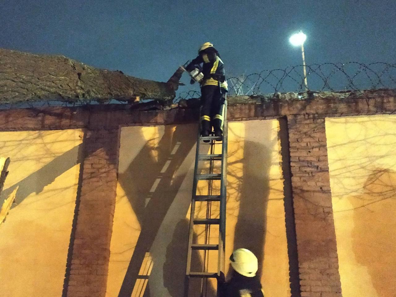 Дерево упало на забор / фото: ГСЧС