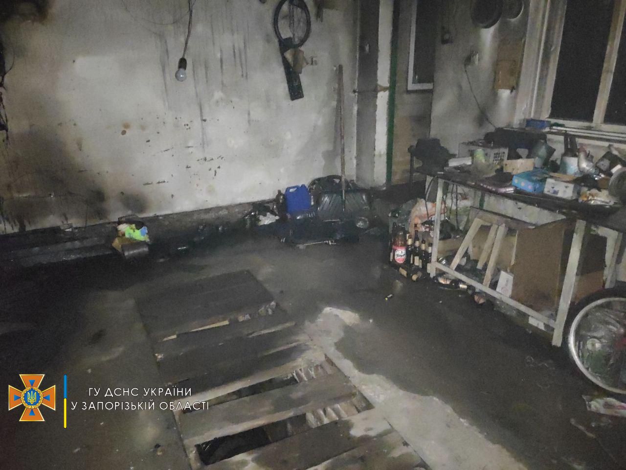 Пожар в Кушугуме - фото: zp.dsns.gov.ua