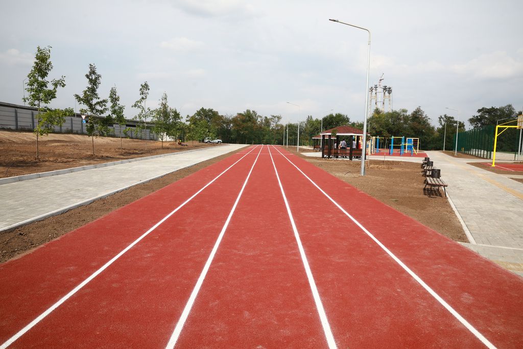 Беговая дорожка - фото: zoda.gov.ua