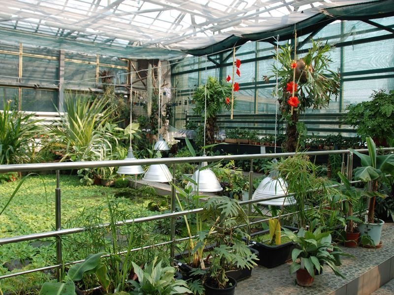 Запорожский ботсад / фото: zaporizhzhia.city