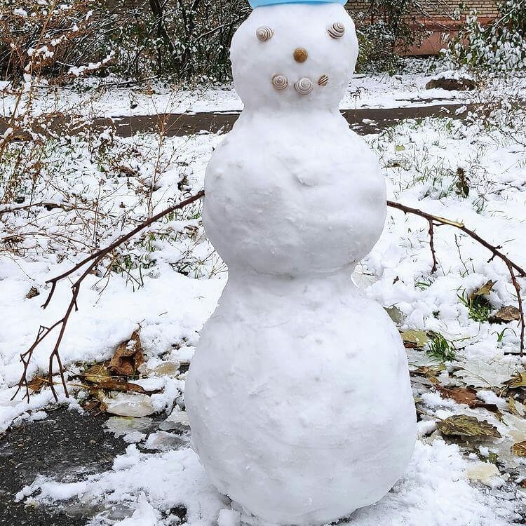 Милый снеговик / фото: vitaliikotukhov