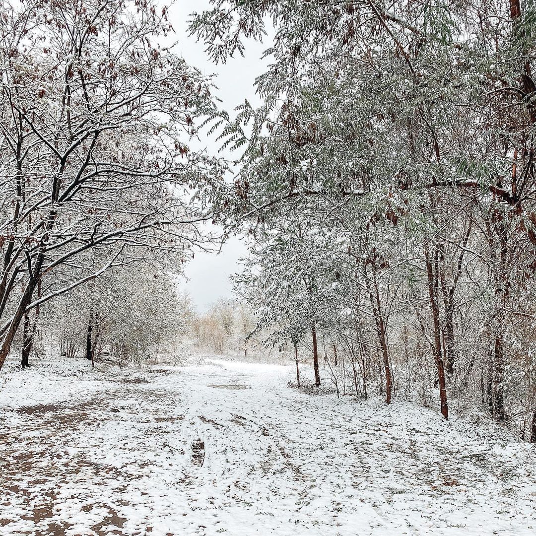Как настоящая сказка / фото: yulia.vara