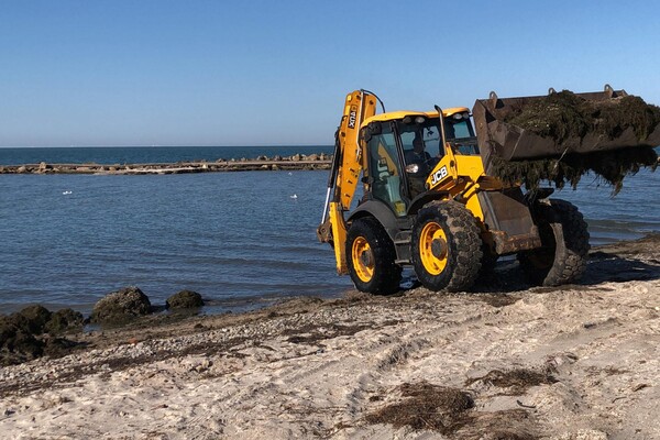 Готовятся к лету: пляжи Бердянска расчищают от водорослей (фото) фото 2