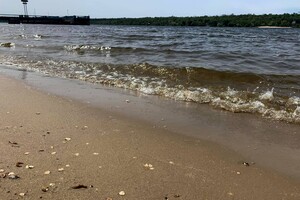 Ищи плавки: запорожские пляжи готовят к летнему сезону фото 1