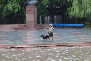 Четырехмесячная норма за ночь: Бердянск затопило после сильного ливня (фото) фото 4