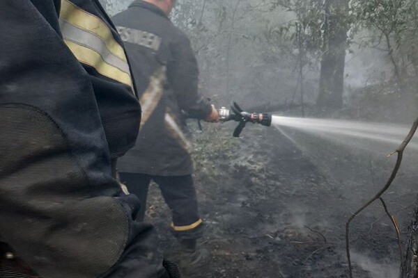 Горела сосновая подстилка: на Хортице бушевал пожар фото