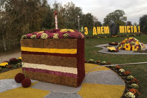 Полюбуйся: ко Дню города Запорожье украсили цветочные композиции фото