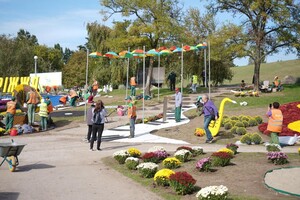 Полюбуйся: ко Дню города Запорожье украсили цветочные композиции фото 3