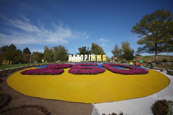 Полюбуйся: ко Дню города Запорожье украсили цветочные композиции фото 7