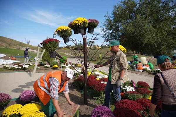 Полюбуйся: ко Дню города Запорожье украсили цветочные композиции фото 8