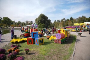 Полюбуйся: ко Дню города Запорожье украсили цветочные композиции фото 12