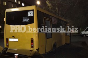 Страшно ездить: в Бердянске нападают на пассажирские автобусы фото 1