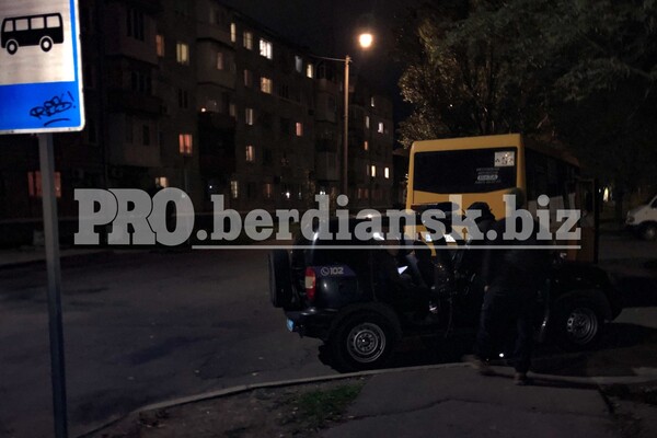 Страшно ездить: в Бердянске нападают на пассажирские автобусы фото 4