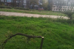 Ну что за люди: в сквере Яланского снова спилили молодые деревья фото