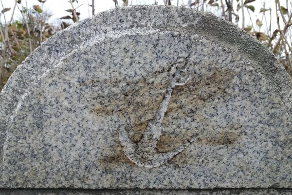 Окунитесь в историю: запорожские краеведы нашли дом немцев-меннонитов и старое кладбище фото 5