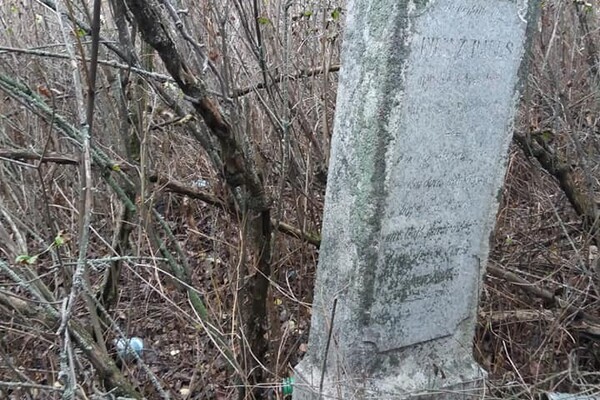 Окунитесь в историю: запорожские краеведы нашли дом немцев-меннонитов и старое кладбище фото 7