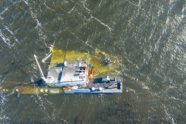 Посмотрите с высоты: как выглядит затонувшая около Запорожья баржа (фото, видео) фото 6