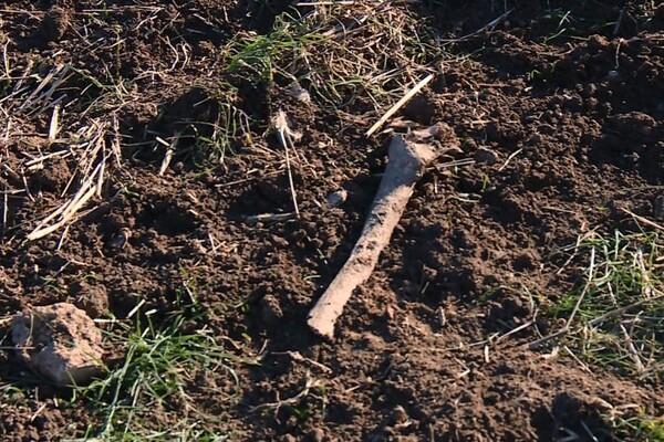 В Гуляйполе фермер вспахал старинное &quot;Еврейское кладбище&quot;: полиция начала расследование фото 2