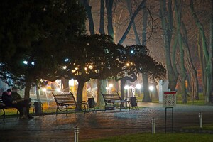 Полюбуйся ночными огнями: одесский парк украсили к Новому году фото