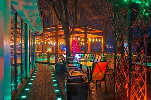 Полюбуйся ночными огнями: одесский парк украсили к Новому году фото 1