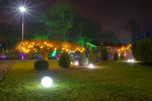 Полюбуйся ночными огнями: одесский парк украсили к Новому году фото 2