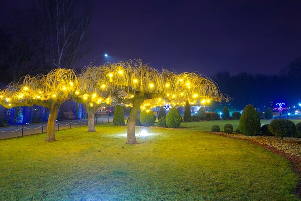 Полюбуйся ночными огнями: одесский парк украсили к Новому году фото 3