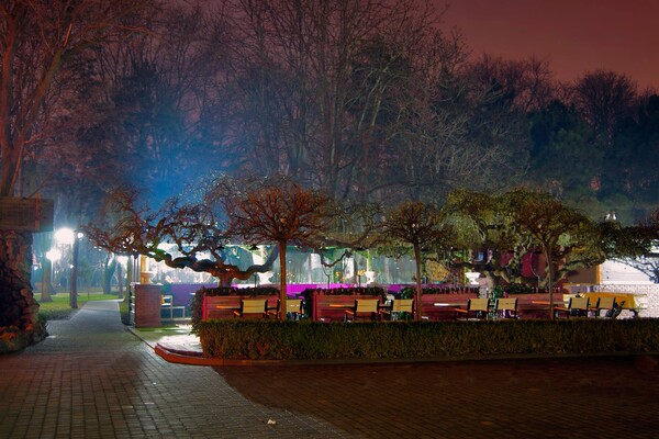Полюбуйся ночными огнями: одесский парк украсили к Новому году фото 4