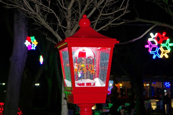 Полюбуйся ночными огнями: одесский парк украсили к Новому году фото 5