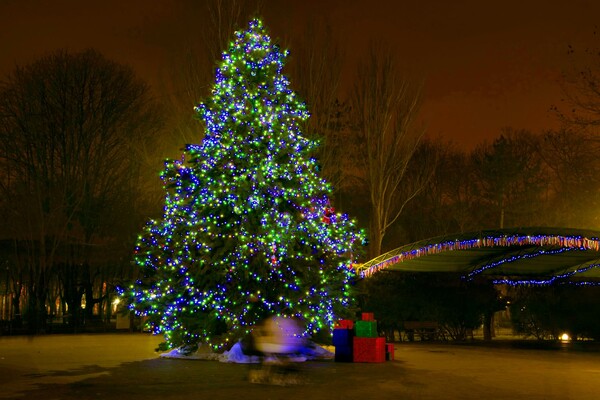 Полюбуйся ночными огнями: одесский парк украсили к Новому году фото 6