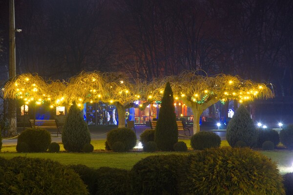Полюбуйся ночными огнями: одесский парк украсили к Новому году фото 7