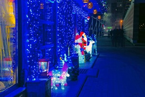 Полюбуйся ночными огнями: одесский парк украсили к Новому году фото 8