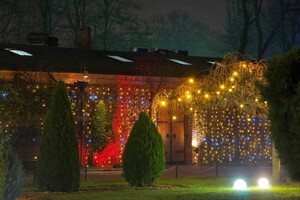 Полюбуйся ночными огнями: одесский парк украсили к Новому году фото 9