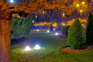 Полюбуйся ночными огнями: одесский парк украсили к Новому году фото 10