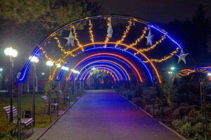 Полюбуйся ночными огнями: одесский парк украсили к Новому году фото 12