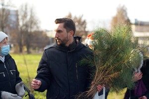 Вместо сломанных деревьев: в сквере Яланского высадили Рождественскую аллею (фото) фото 5