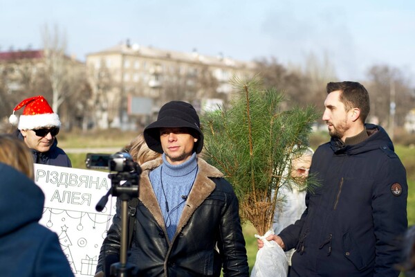 Вместо сломанных деревьев: в сквере Яланского высадили Рождественскую аллею (фото) фото 7