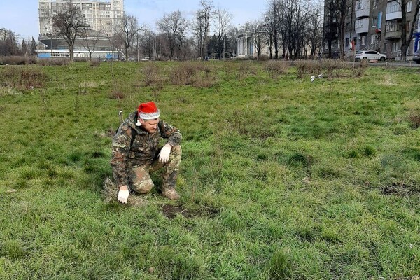 Вместо сломанных деревьев: в сквере Яланского высадили Рождественскую аллею (фото) фото 14