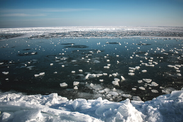 Полюбуйтесь: арктические пейзажи на заснеженной Бердянской косе фото 5