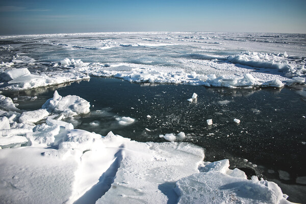 Полюбуйтесь: арктические пейзажи на заснеженной Бердянской косе фото 7