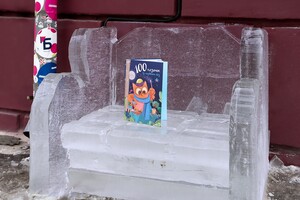 Успейте сделать фото: около запорожских библиотек появились кресла из льда фото 2