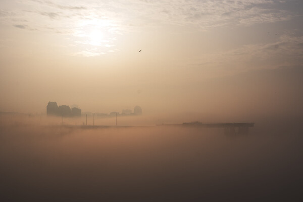 Хоть картины пиши: в Запорожье запечатлели туманное утро  фото 3