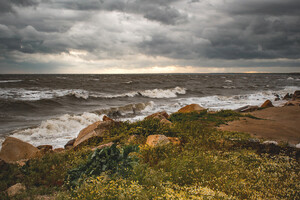 Атмосферные кадры: как выглядит штормящее море в Бердянске фото 12