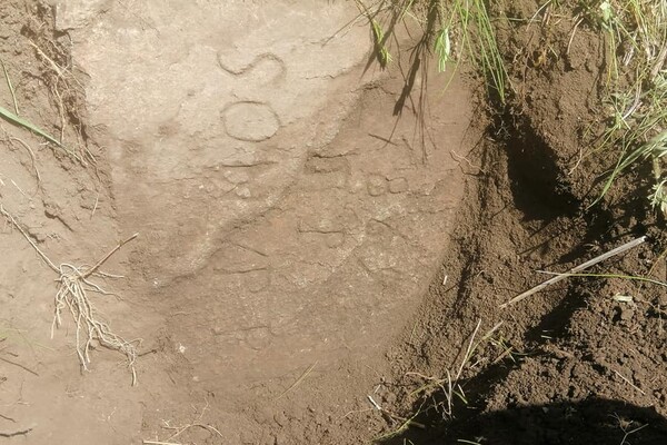 Более 200 лет: под Запорожьем нашли надгробия семьи основателя меннонитского поселения фото 4
